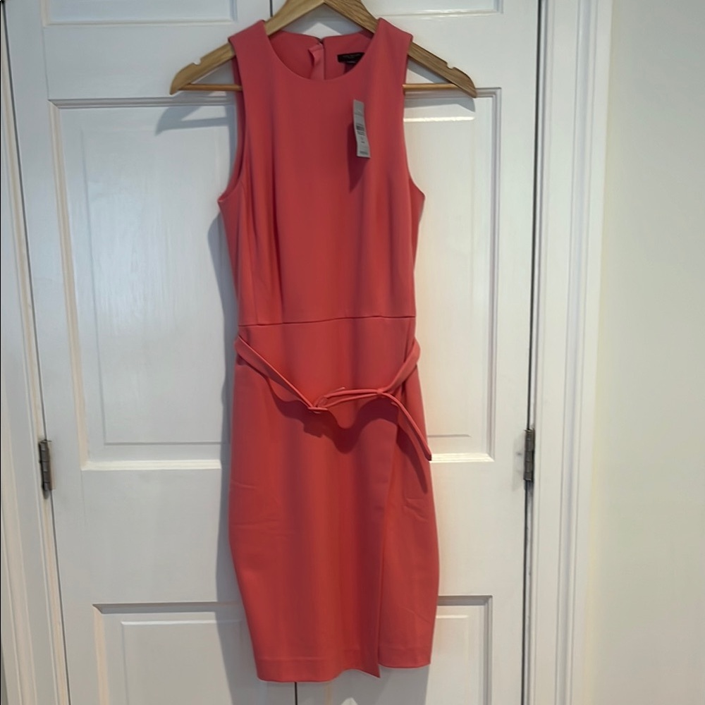 Ann Taylor Dress